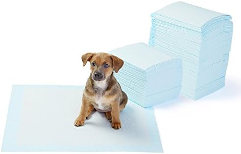 Itplus Pet Dog Daipers Cat Toilet Training Pads Indoor Puppy Pee Pads Disposable Underpad