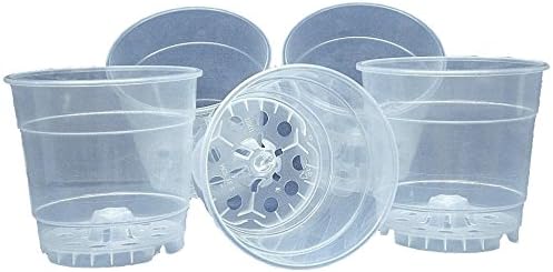 5 Pack Clear Plastic Orchid Pot - EBook Included (6")