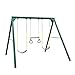 Swing-N-Slide Orbiter Complete Wooden Swing Set, Safety Tested for Backyards with Two Swings & Trapeze Handle bar