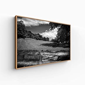 Canvas Wall Art for Living Room, Bedroom Monochrome Landscape Framed Canvas Prints for Home Decoration Ready to Hang - 16x24 inches