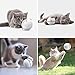 Unzano Interactive Cat Toys for Indoor Cats with Built-in Red Led Light, USB Rechargeable, Auto Twists and Turns Cat Ball Toy & Chasers to Encourage Your Pet's Exercise, Chasing & Hunting Ability