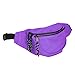 DALIX Fanny Pack w/ 3 Pockets Traveling Concealment Pouch Airport Money Bag (Purple)