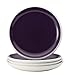 Rachael Ray Dinnerware Rise 4-Piece Stoneware Dinner Plate Set, Purple