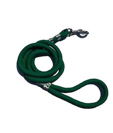 Ocean Wave Nylon Rope Leash for Dogs, Green (Large)
