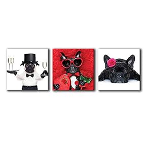 3 Piece Canvas Wall Art-Funny Animals-Canvas Prints Home Artwork Decoration for Living Room,Bedroom - 12"x12"x3 Panels
