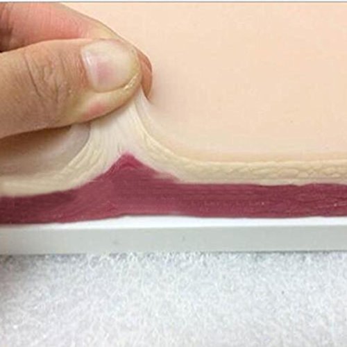 Simulation Skin Surgery Stitch Exercises Acupuncture Practices Skin Model - Thumbnail 7