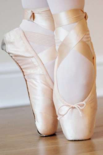 Journal: Ballet Toe Shoes