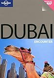 Dubai Encounter by Terry Carter, Lara Dunston