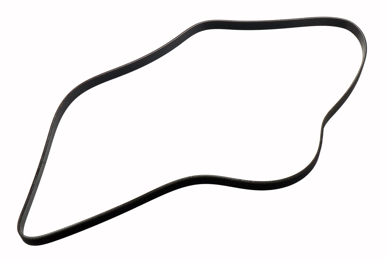 Photo 1 of ACDelco GM Original Equipment 55578811 V-Ribbed Serpentine Belt , Black