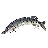 Lixada 8