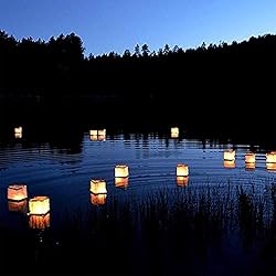 Diagtree 20 PCS Biodegradable 5.9-Inch Floating
