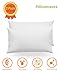 Heidelpeggy Pillowcases, Pillow Covers, Antibacterial, Anti-Microbial and Hypoallergenic Dust Mite White Pillow Protectors, Queen Size (20