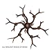 Antlers vintage Style Resin 6 light chandeliers 8688-6,Diameter 88CM Height 54CM antler chandeliers, from QIRUI Lighting