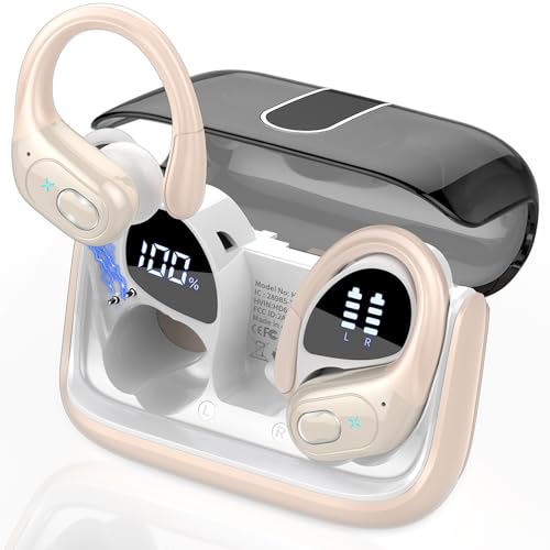 Wireless Earbuds with Earhooks and Noise Cancelling