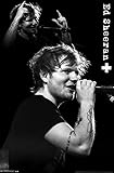 Ed Sheeran Poster - Print (24 x 36)