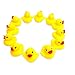 Novelty Place Rubber Duck Ducky Baby Bath Toy for Kids (48 Pcs)