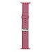 Pantheon Compatible Apple Watch Band 42mm 44mm Nylon - Compatible iWatch Bands/Strap for Women or Men Fits Series 4 3 2 1