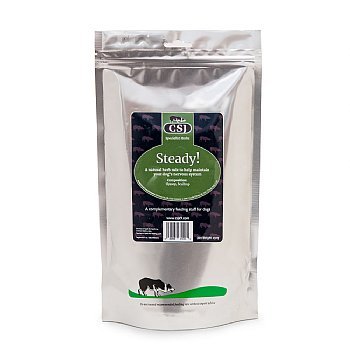 CSJ Steady Steady is a naturally formulated herbal remedy especially for maintenance of the nervous system of dogs.