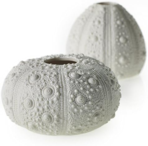 Ella and Lulu AD13600.00 Rhea Sea Urchin Budvase