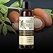 Moroccan Argan Oil Shampoo for Men and Women – Sulfate Free with Argan and Jojoba – Color Safe Nourishing Daily Shampoo - Paraben Free and Cruelty Free 8 Oz - USA Made By Honeydew Products