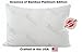 Essence of Bamboo Derived Rayon Pillow Platinum Edition - Extra Plush Series - Down Alternative Hypoallergenic Poly Bed Pillows with Bamboo Derived Rayon/Poly Cover- Crafted in USA (Queen)