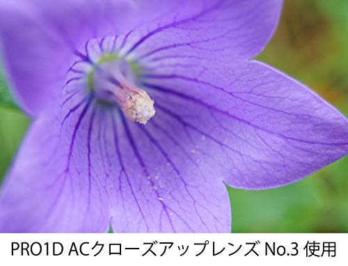 Kenko Close-Up Lens 62mm AC No.3 Achromatic-Lens - Thumbnail 4