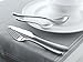 Amefa Premier Newton 44 Piece Chest Flatware Set for 6 people
