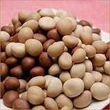 【訳ありチョコレート】　不揃いマカダミアショコラ一キロ