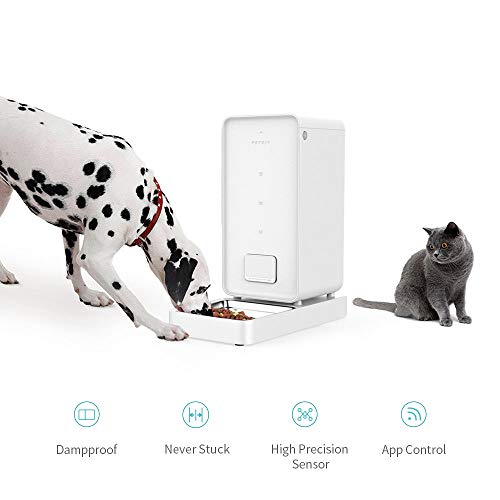 petkit smart cat feeder