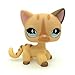 ZAD Littlest Pet Shop LPS Figure Rare Short Hair Stand Cat #886 Cream Diamond Stripe