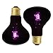 FIVEAGE 100W Night Heat Lamp Heating Infrared Bulb, Moonlight Pet Light UVA Spot Lamp for Reptile and Amphibian Use - Lizard Tortoise Spider Snake Chameleon 2 Pack