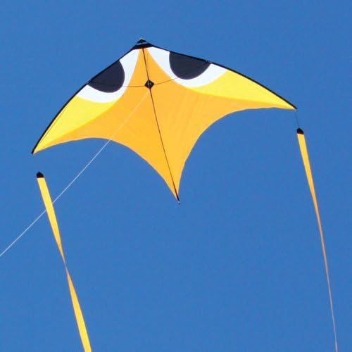 Flying Wings Yellow Wala Glider-Kite by Pacific Quest