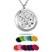 HooAMI Aromatherapy Essential Oil Diffuser Necklace - Silver Stainless Steel Vine Flower Locket Pendant