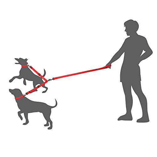 How To Keep Dog From Getting Tangled In Leash at Billy Mcdonald blog