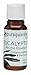 PureGuardian SPAES30E Eucalyptus Aroma Essence Oil, 30 ml