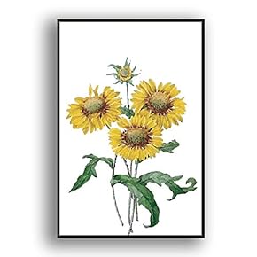 Framed Canvas Wall Art Beautiful Flowers in Grid Giclee Print Gallery Wrap Modern Home Prints Ready to Hang - 16x24 inches