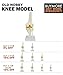 Knee Model - Functional Knee Joint Model, Life Size Anatomical Knee with Functional Ligaments