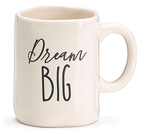 College Student Gift Dream Big Mug In Gift Box with 4 Mug Cake Mix Pouches Bundle (Chocolate Brownie)