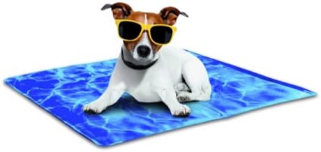 All For Paws Chill Out Always Cool Kuhlmatte Fur Hunde Ml Blau Hundekuhlmatte High Tech Kuhlmatte Kuhlung Ohne Kuhlschrank