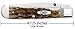 Case Amber Bone CV Trapperlock Pocket Knife with Clip