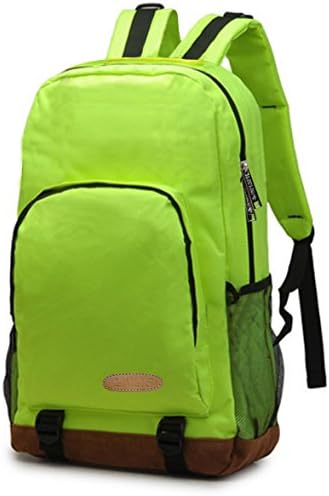 LIVLIG Water Resistant Lightweight Backpack for Laptops Up To 15-Inch
