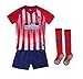 Whatrce Glfosenrs #7 Griezmann 2018/2019 Season Atletico Madrid Youths/Kids Home Soccer Jersey & Shorts & Socks