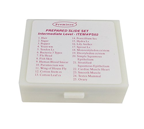 Scientific PS02 Prepared Slide Intermediate