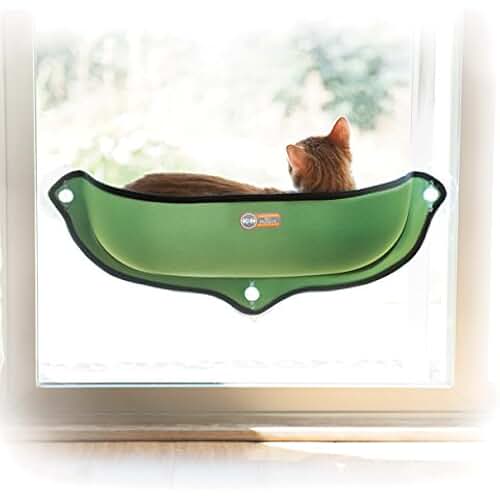 cat window suction cup