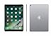 Apple iPad Pro 10.5in - 256GB Wifi - 2017 Model - Gray (Renewed)