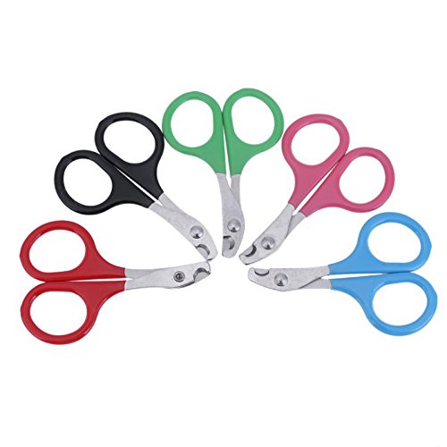 STORE-HOMER - 5pcs/Pack Sharp Blade Pet Nail Scissor Set Stainless Steel Dog Pet Toe Nail Claw Clippers For Pet Trimmers Nail Cutting Tool - Thumbnail 2