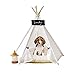 Zaihe Pet Teepee Dog & Cat Bed - Dog Tents & Pet Houses with Cushion & Blackboard, 24 Inch, Up to 15lbs, White, Lace Style