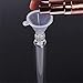 10pcs Plastic Mini Funnels For Filling Small Samples Perfume Liquid Emulsion