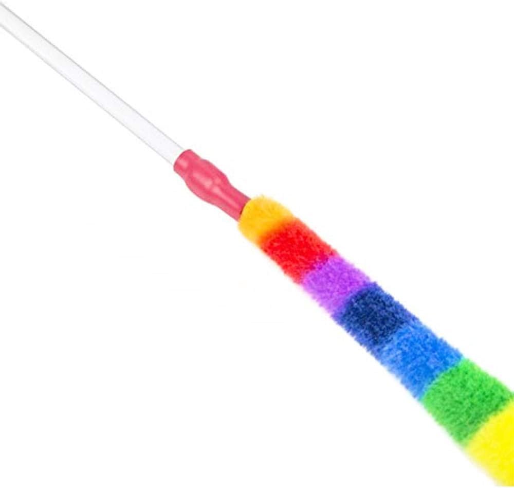 Pet Supplies : Cat Dancer Products Rainbow Cat Charmer : Catnip Toys : 