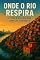 Livro Onde o Rio Respira: A Vida e a Alma das Favelas Cariocas: Histórias de resistência, beleza e esperança nas comunidades que moldam o coração do Rio.